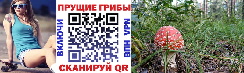 Галлюциногенные грибы GOLDEN TEACHER  Купить где  Полевской 